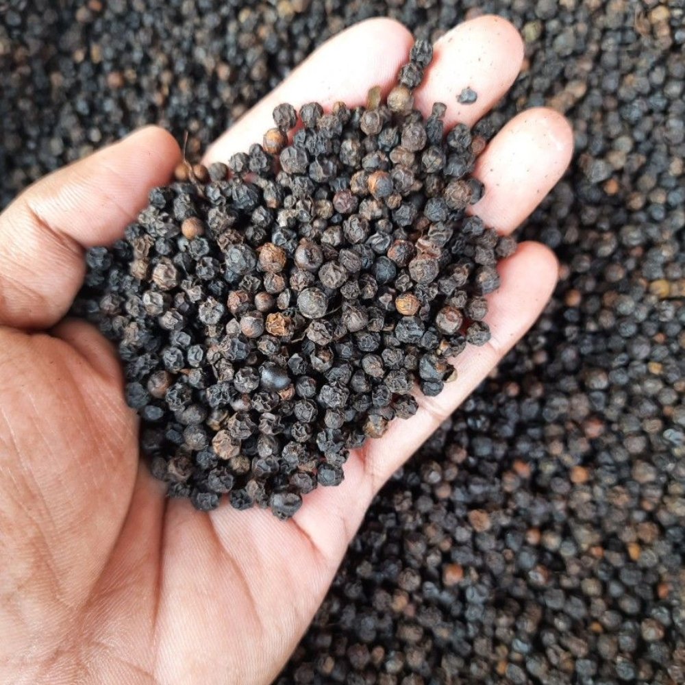 Black Pepper - Vistara Vertex Global